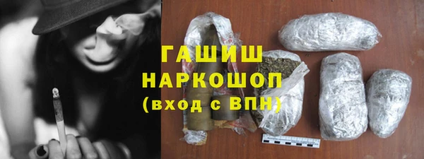 индика Абаза