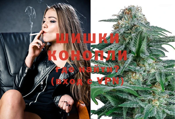индика Абаза