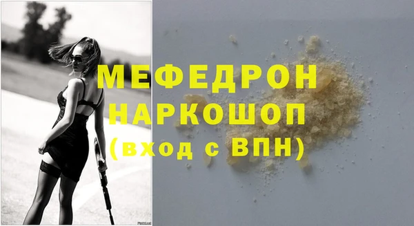 индика Абаза