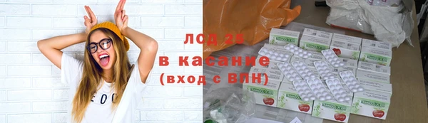 индика Абаза