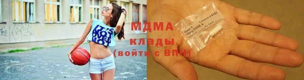 индика Абаза