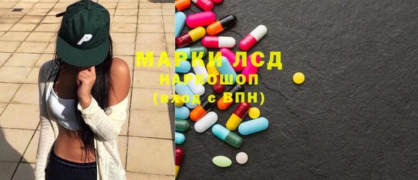 индика Абаза