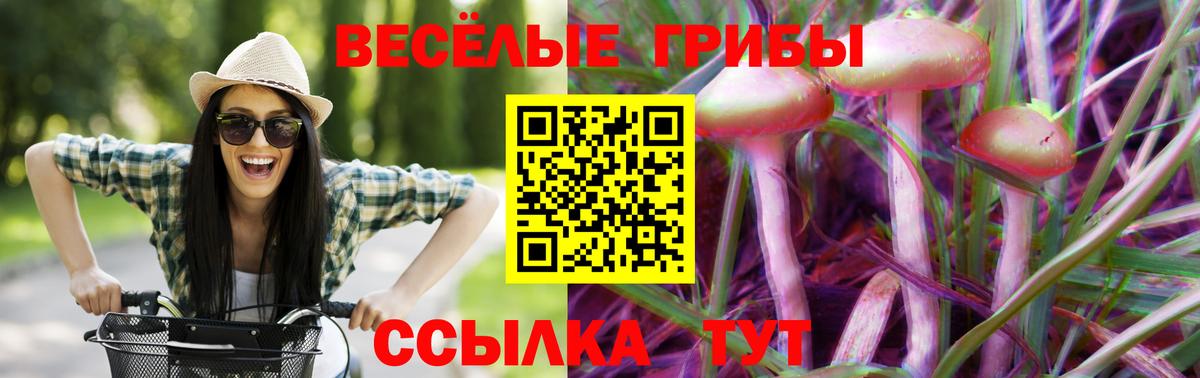 наркотики  Псилоцибиновые грибы GOLDEN TEACHER  Вход с VPN  Нефтеюганск  Галлюциногенные грибы Psilocybe 